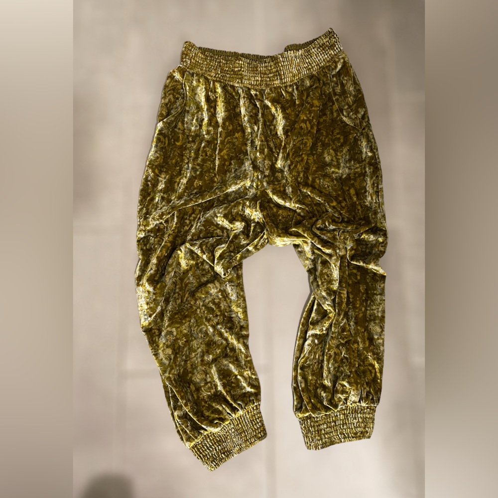 Boho Velvet Anthropologie Joggers Pants
